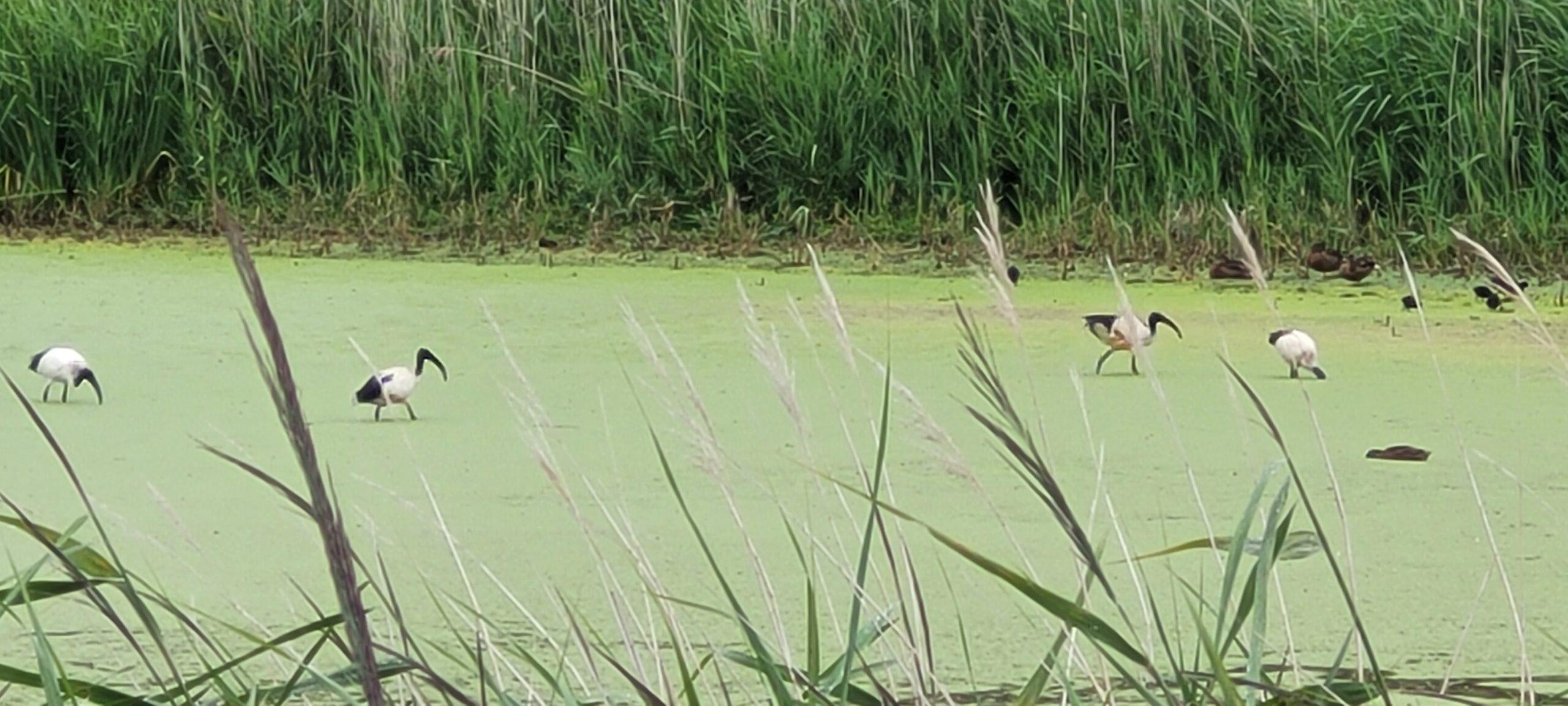 You are currently viewing Piriac sur Mer – Juillet 2023