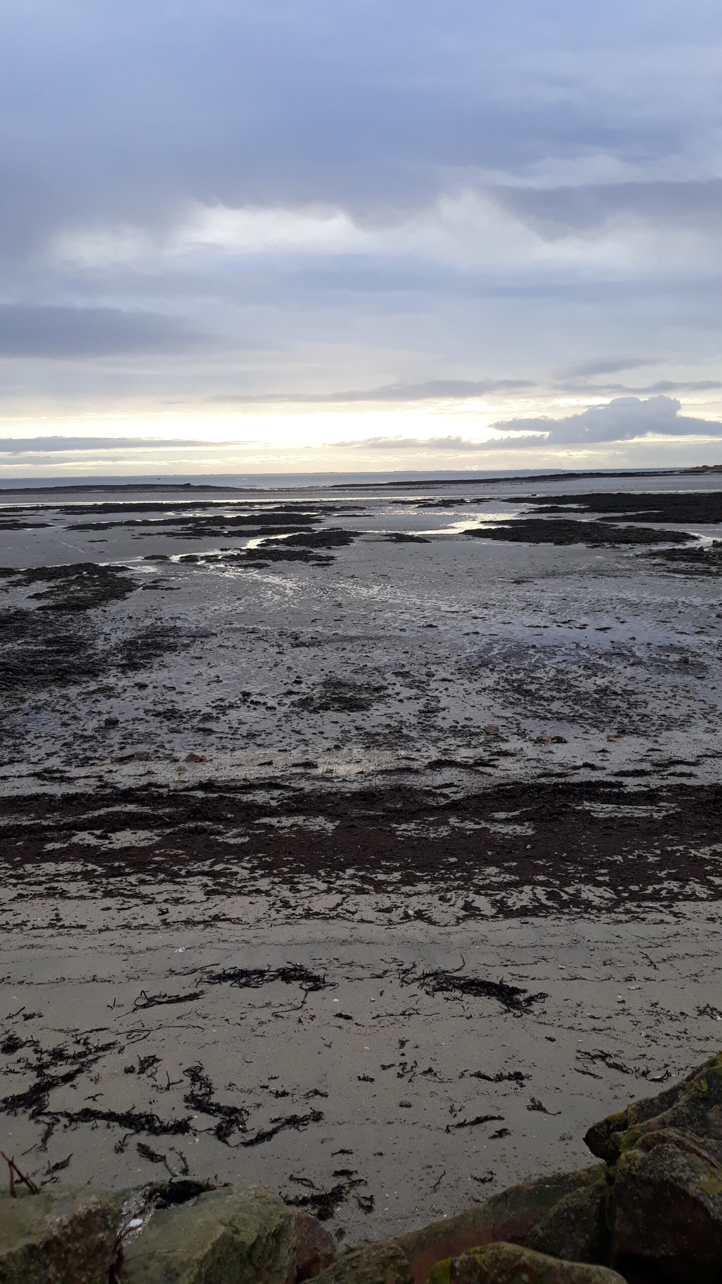 You are currently viewing Le Tour du Parc – Novembre 2023 –