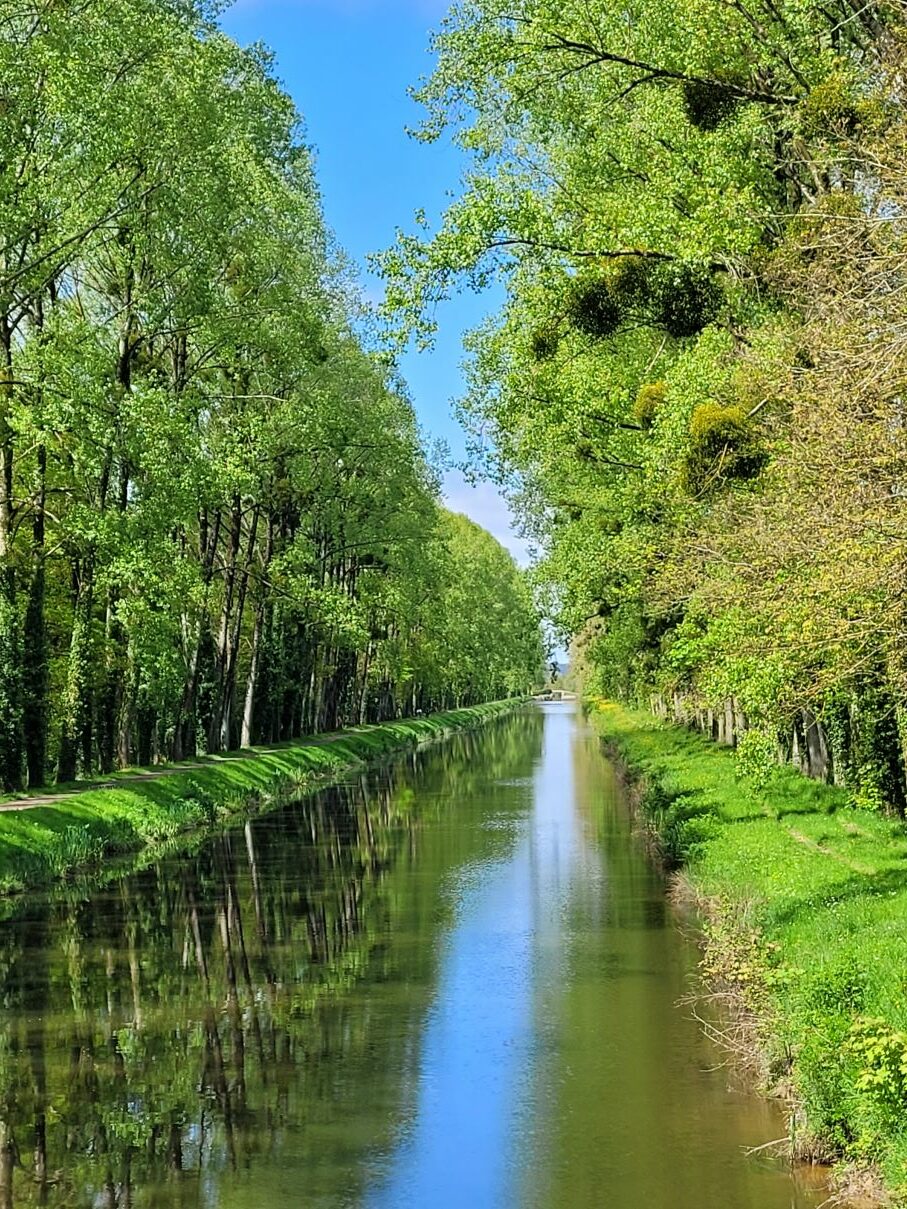 You are currently viewing L’Ile aux Pies- Avril 2024 –