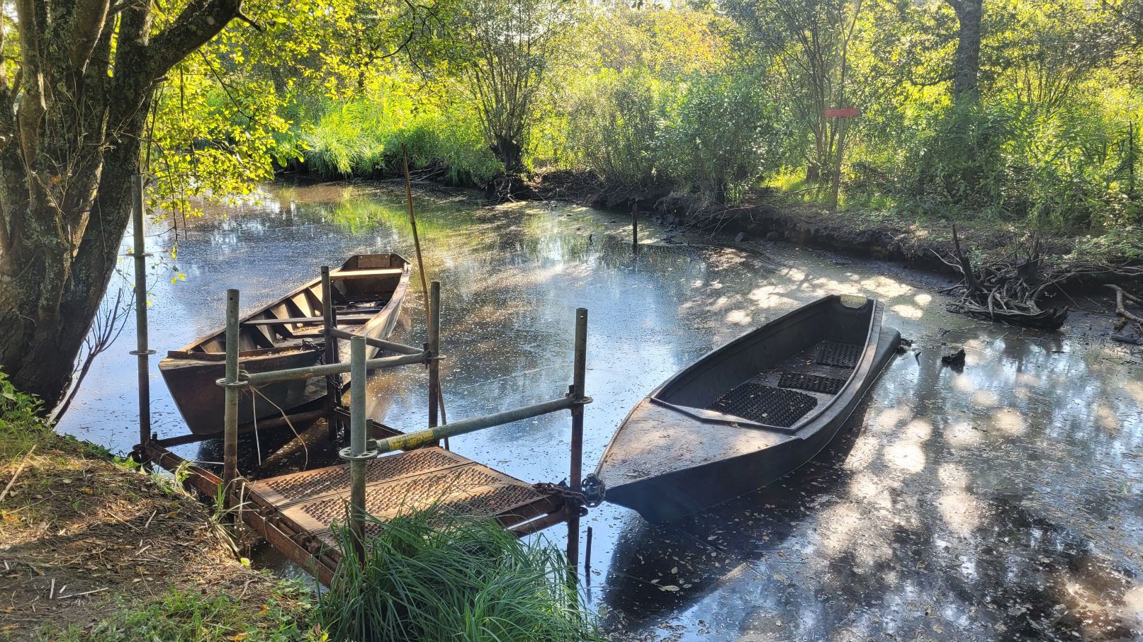 You are currently viewing La Brière – Septembre 2024 –