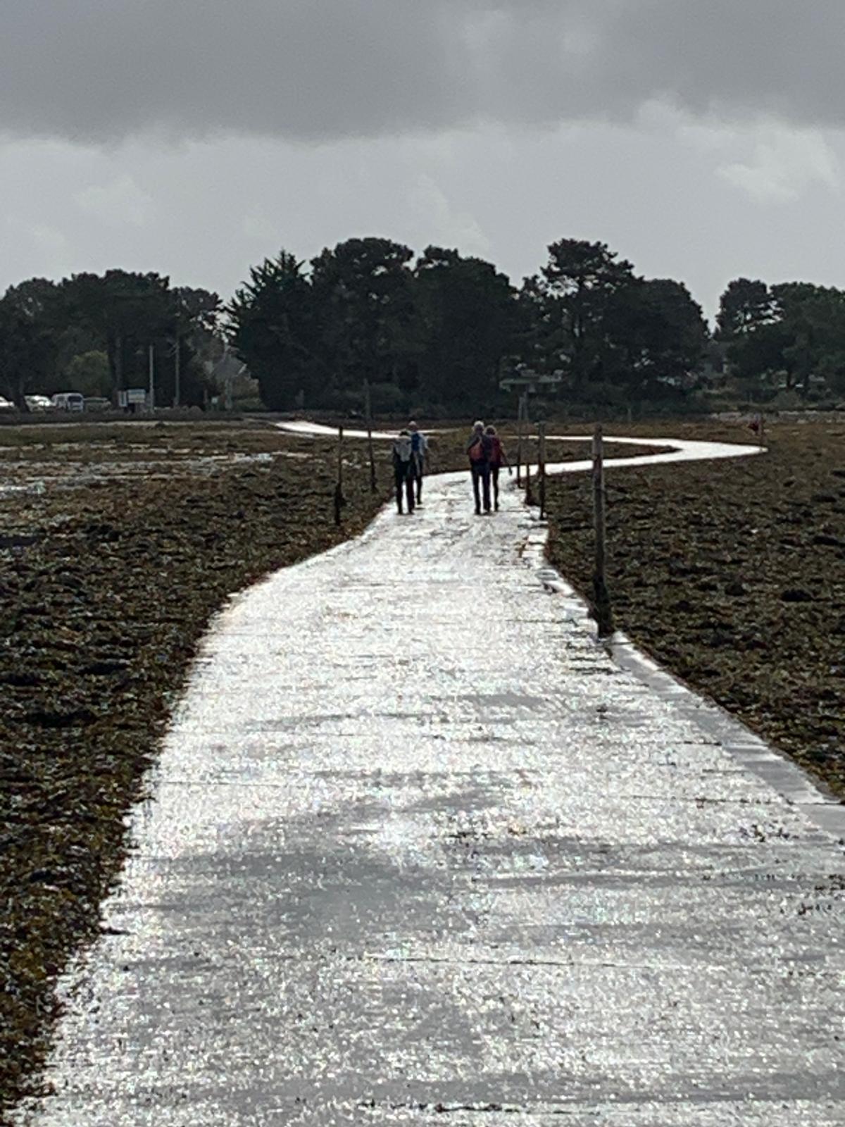 You are currently viewing St Armel – Octobre 2024 –