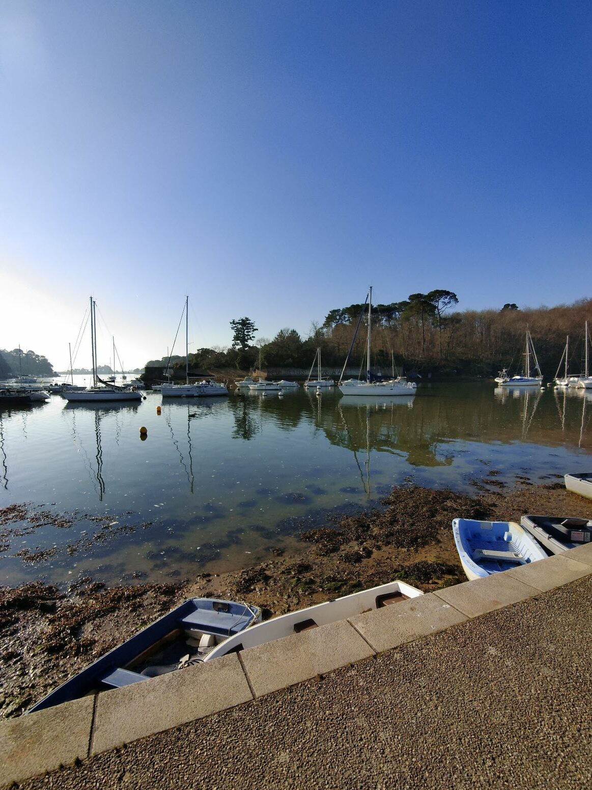 You are currently viewing Conleau – Janvier 2025