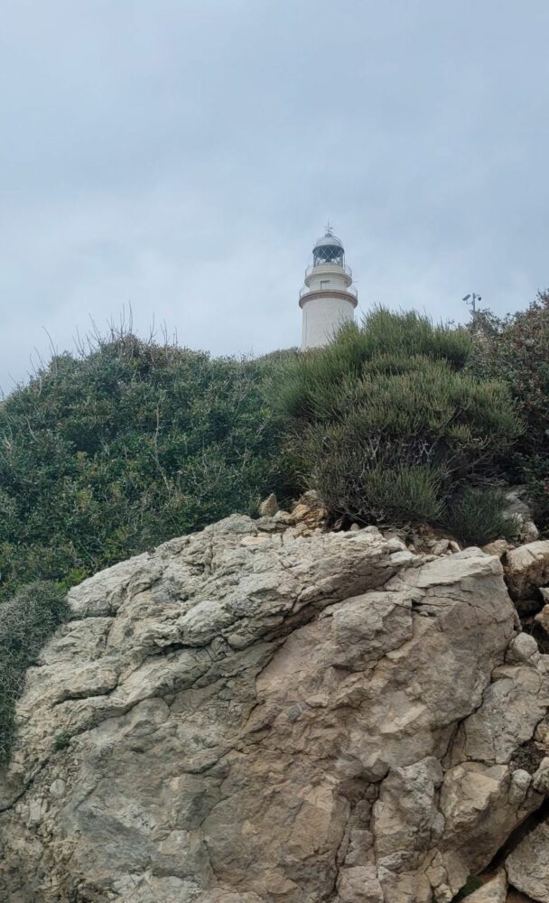 You are currently viewing J5 Cap sur le cap